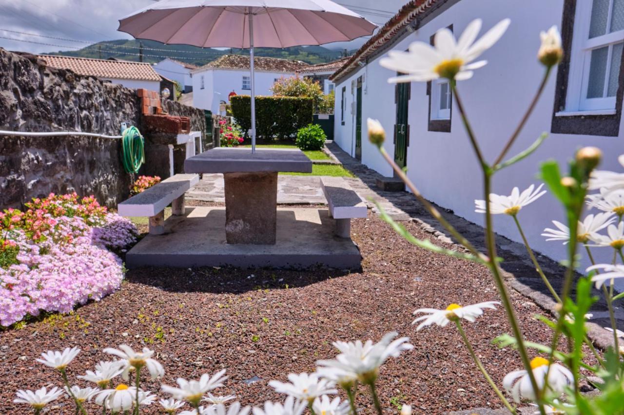 Casa D'Alfaias Vila Nordeste  Exterior foto