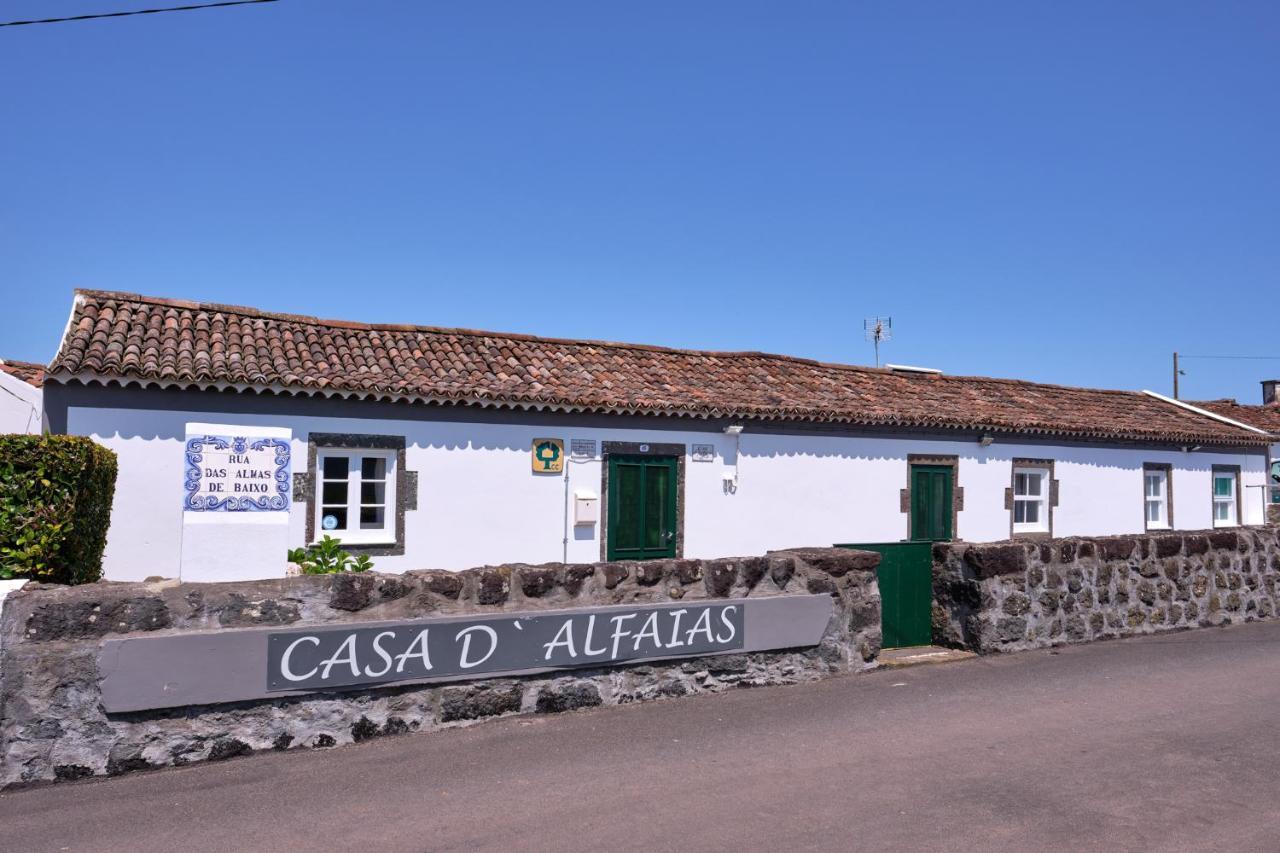 Casa D'Alfaias Vila Nordeste  Exterior foto